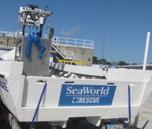 SeaWorld rescue boat. Copyright Gretta Schifano