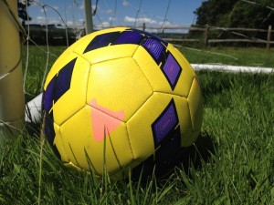 Football in the garden. Copyright Gretta Schifano