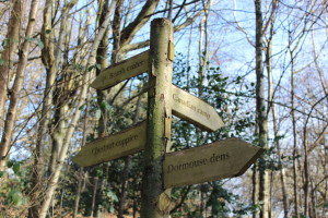 Signpost in the Chartwell woodland. Copyright Gretta Schifano