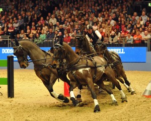 London International Horse Show 2014