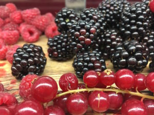 Fruit at Explorers' Outpost Restaurant. Copyright Afra Willmore