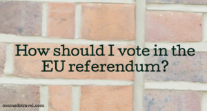 EU referendum question. Copyright Gretta Schifano