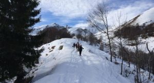 Walking in the Italian Alps. Copyright Gretta Schifano