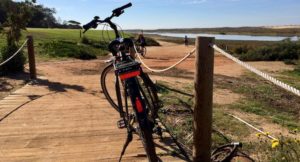 Cycling tour, Ria Formosa nature reserve, Algarve, Portugal. Copyright Gretta Schifano