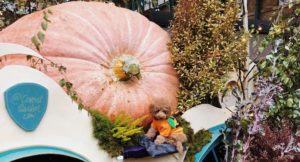 Giant pumpkin, Covent Garden, London. Image courtesy of Capco Covent Garden