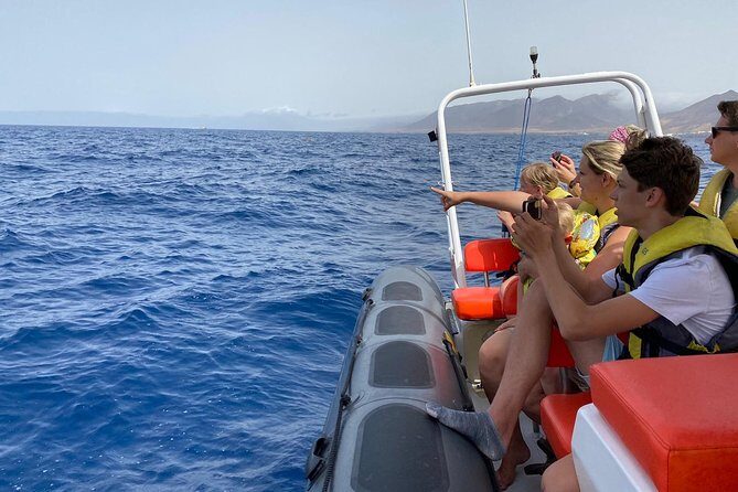 1.5-Hour Dolphin and Whale Watching Tour - What the Reviews Say