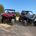 1 Day Tour - The Value for Money