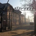 1 Day Trip Auschwitz-Birkenau Memorial and Museum Guided Tour from Krakow - Wrapping It Up