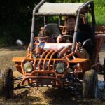 1 Hour Buggy Safari Experience in the Mountains of Mijas with Guide - The Terrain and What You’ll Encounter