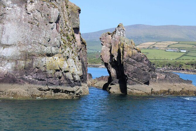 1 hour Dingle Bay Cliff Tour - The Downsides or Considerations