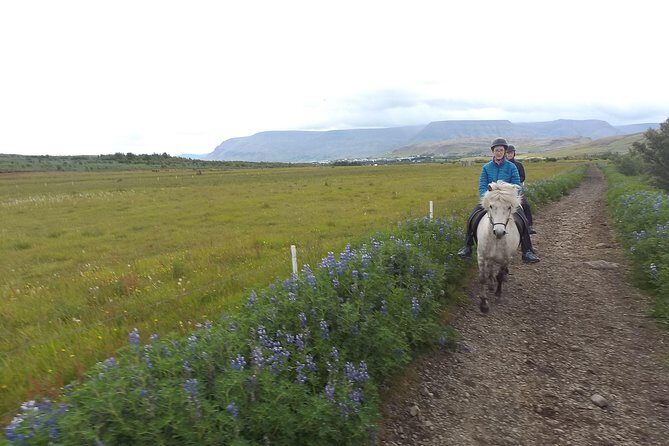1+ hour Private Horse riding tour from Reykjavík/Mosfellsbær - The Horses and Guides