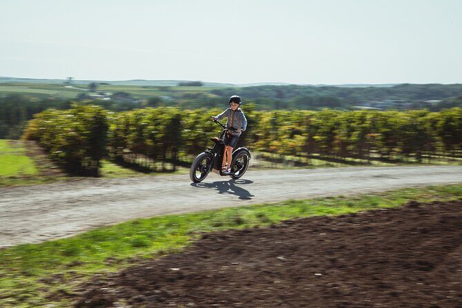 1 hour walk - The Gabarres river route - What to Expect on Your Scooter Tour