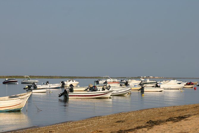 1 or 2 Hour Speed Boat Tour - Ria Formosa - Final Thoughts: Is This Tour Worth It?