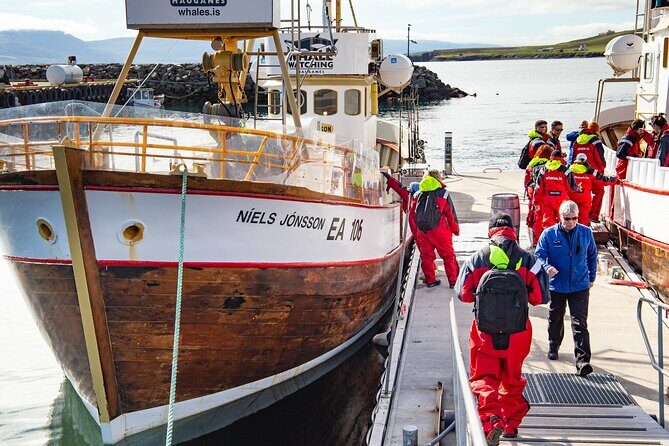 100% Whale Watching - How Much Does It Cost and What’s the Value?