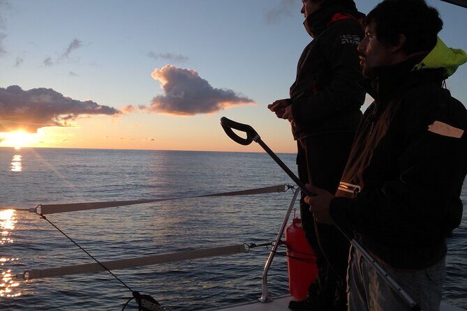 2.5h Sunset Navigation with Azorean appetizers and Wine - The Bottom Line: Who Should Consider This Tour?