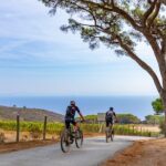 2-Hour e-bike Tour with Wine Tasting in Tenuta delle Ripalte - Exploring the Details