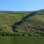 2-hour Rabelo Boat tour in Pinhão - Who Is This Tour Perfect For?