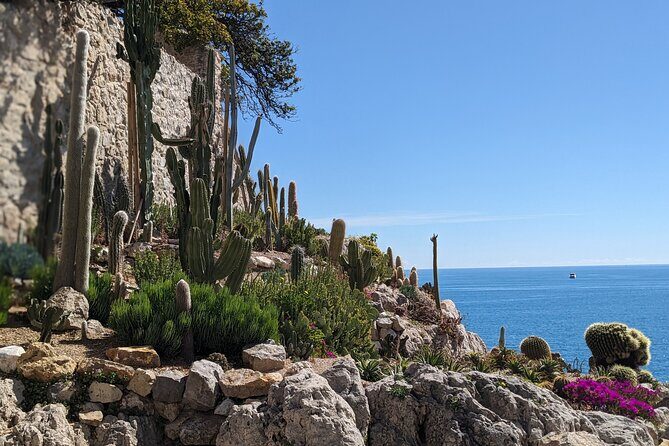 2 Hour Walking Tour in the Old Town of Antibes - What the Experience Offers