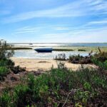 2 Hours Kayak Island Tour in the Natural Park of Ria Formosa - Detailed Breakdown of the Tour Experience