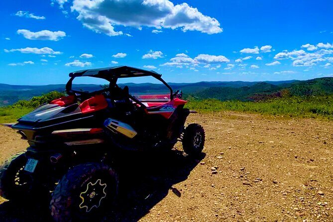 2:30 Hours Tour - Real Travelers’ Feedback