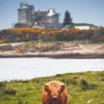 3-Day Isle of Mull and Iona Small-Group Tour from Glasgow - Is This Tour Worth It?