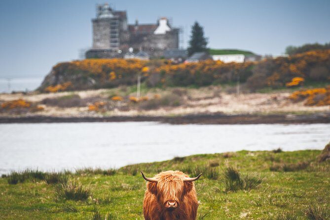 3-Day Isle of Mull and Iona Small-Group Tour from Glasgow - Is This Tour Worth It?