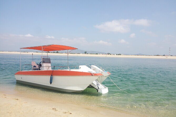 3 Hour Boat Tour in Ria Formosa - Whats Included and Whats Not