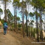 3-Hour Hiking Experience in Roque Nublo - Who Will Love This Experience?