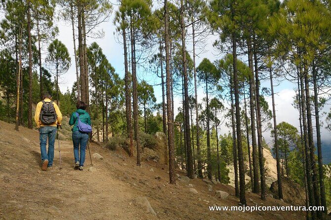 3-Hour Hiking Experience in Roque Nublo - Who Will Love This Experience?