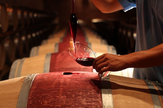 3 Hour Horse Ride to a Castle for Wine Tasting and snack Lunch - The Horseback Ride