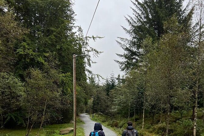 3-Hour Private Tour Hiked through the Bergen Mountains - What to Expect and What to Bring