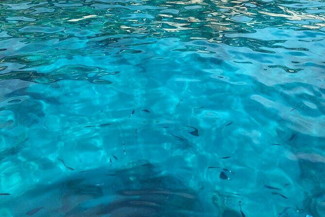 3 Hour shared Cinque Terre tour + Swim Stops at Secluded Beaches! - The Practical Side: Timing, Group Size, and Booking