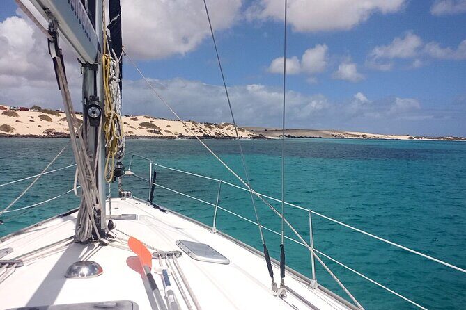 3-Hour Small-Group Sailing Tour around the Lobos Island - What Do the Reviews Say?