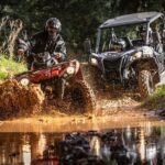 3-hour tour by Buggy or Quad in the Algarve - The Logistics: Practical Details You Need to Know