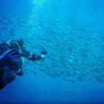 3-Hour Try Scuba Private Guided Sea Baptism from Palermo - What You Can Expect from This Sea Baptism
