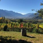 3 Hour Unique Wine Tour - Half Day in Swiss Alps - Who Is This Tour Best Suited For?