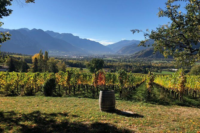 3 Hour Unique Wine Tour - Half Day in Swiss Alps - Who Is This Tour Best Suited For?