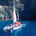 3-hour Whale and Dolphin Watching and Listening Tour - Key Points