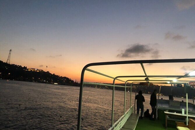 3 Hours Bosphorus Boat Cruise with Stop in Asia Side - The Bottom Line: Who Is This Tour For?