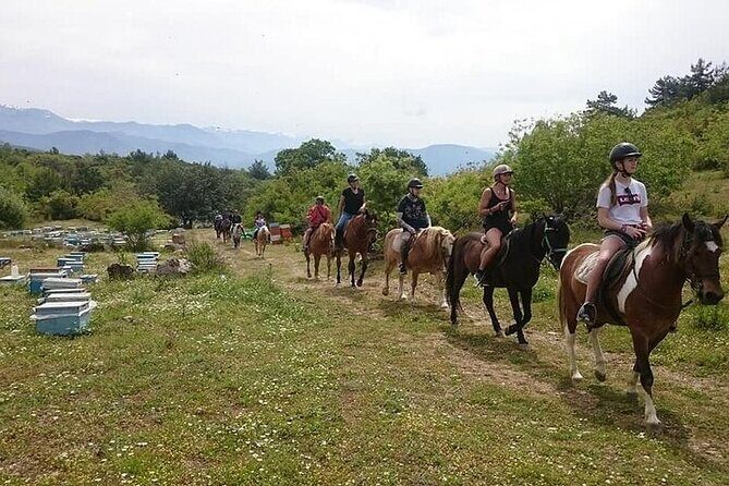 3 Hours Horse Back Riding Alanya - Logistics and Practicalities