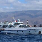 3 hrs Boat Excursion for whale watching from Valle GR (La Gomera) - Food, Drinks, and Additional Costs