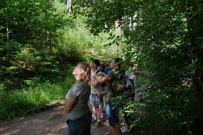 3 in 1 Tour Brewery & Castle in Bohemian Paradise Unesco Geopark - The Itinerary in Detail