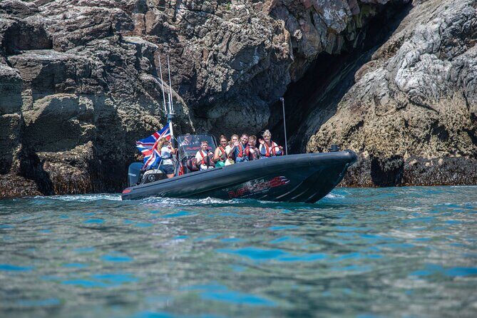 30-Minute Raptor RIB Ride Activity in Torquay - The Scenic and Wildlife Aspect
