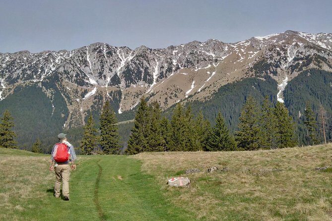 4-Day Carpathian Trek: Bucegi Mountains and Piatra Craiului National Park - Deep Dive into the 4-Day Carpathian Trek