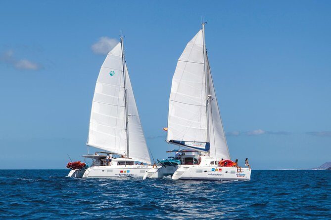 4-Hour Boat Trip to Isla de Lobos from Fuerteventura (Combo Deluxe) - What the Reviews Say