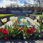 4 Hour Private Dublin City Sightseeing Tour ( 1-7 People) - The Real Deal: What the Reviews Say