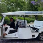 4 Hour Tuk Tuk Tour From the Discoveries to the Tragedy of 1755 - Who Will Love This Tour?