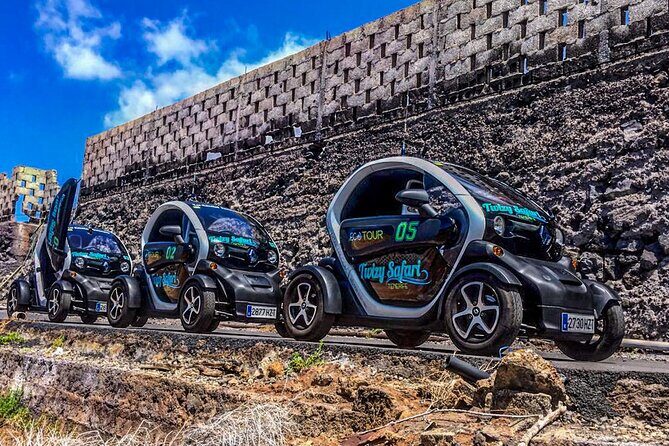4 Hours Eco Safari Tour with Electric Car in Tenerife - Beyond the Highlights: Assessing the Value
