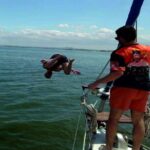 4H Private Sailing Tour with Water Activity (Drinks and BBQ as option) - Pricing and Value