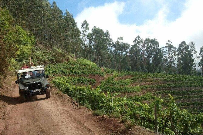 4x4 Safari Half day Poncha, Mountains, Vineyards and Cabo Girão Small group - Who Would Love This Tour?